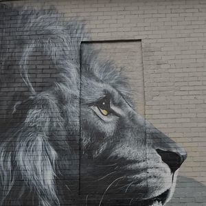 Meet your Posher, Ellen